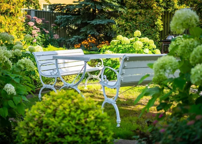 City Center Garden Camping
